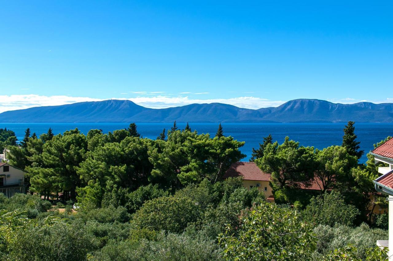 Apartments With A Parking Space Gradac, Makarska - 14708 المظهر الخارجي الصورة